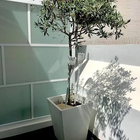 阿拉莫酒店 阿利坎特